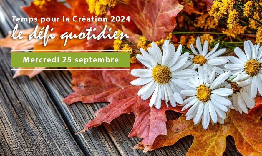 25 septembre – Proposition Mouvement Laudato Si’ – Webinaire Zoom “Signes d’espérance”