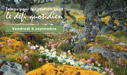Temps pour la Création 2024