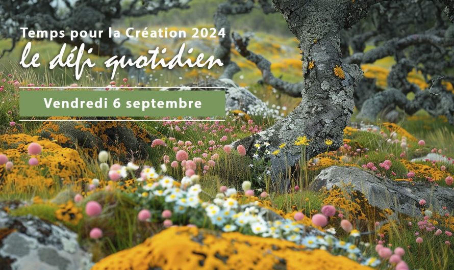 6 septembre – Imaginer un jardin Laudato’Si