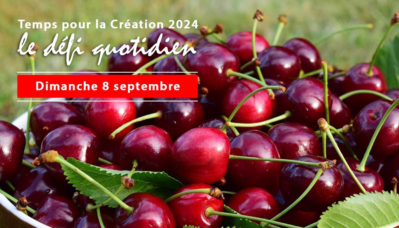 Temps pour la Création 2024