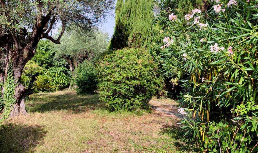 Le buisson ardent