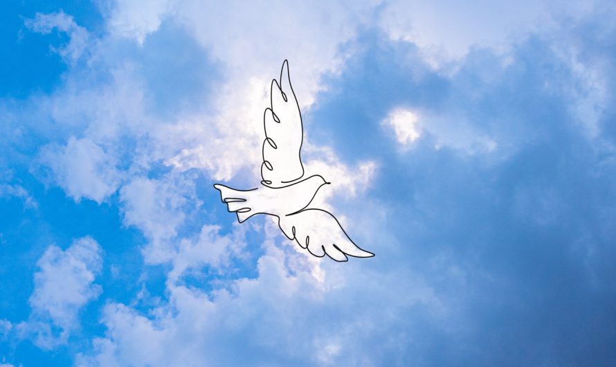 Nouveauté – QUIZ – Découvrez vos dons de l’Esprit Saint