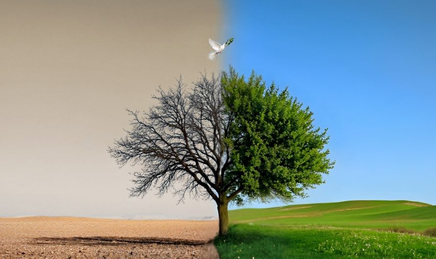 Temps pour la Création (1er septembre – 4 octobre 2025)