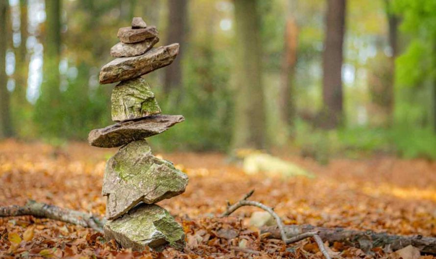 15 sept. – Inviter quelqu’un à faire un défi