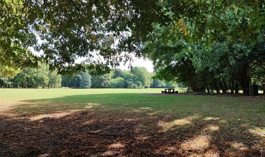 5 sept. – 10 minutes dans un parc